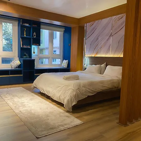 Modern Luxury Studio Apartment